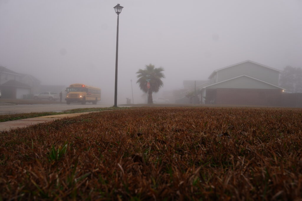 School bus in fog