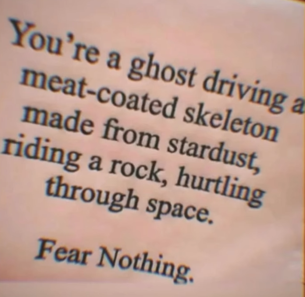 fear nothing