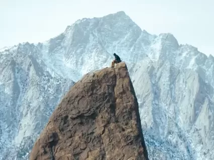 meditating on a mountain